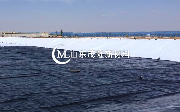 《衡水主城區(qū)生態(tài)修復工程》土工布、復合土工布施工