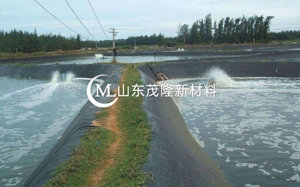 魚(yú)塘防滲膜