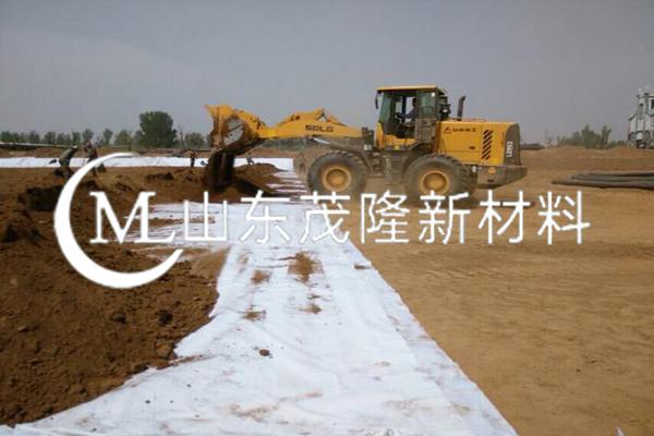 《唐河航運(yùn)項目》土工布施工