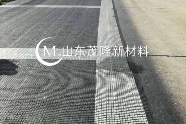 《怡心湖 C 區(qū)片區(qū)綜合開(kāi)發(fā)項(xiàng)目二期工程》土工格柵施工